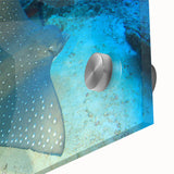 Close-up of a vibrant marine life wall art piece featuring a colorful ray design, printed on acrylic glass, showcasing intricate details and vivid colors, perfect for ocean-themed decor.