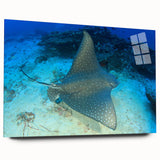 Acrylic wall art showcasing a vibrant marine life ray design, viewed from the side, emphasizing its sleek edges and colorful details, perfect for ocean-themed decor.