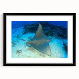 Framed wall art featuring a stunning marine life design with a manta ray, showcased in a sleek black frame with a white mat, perfect for ocean-themed decor.