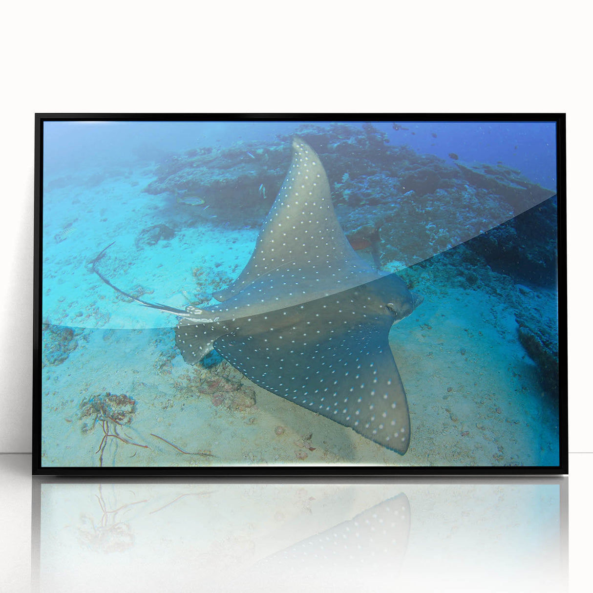 Framed wall art featuring a vibrant marine life design with a stingray, showcasing detailed colors and textures, perfect for ocean-themed decor.
