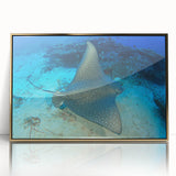 Framed wall art piece featuring a stunning marine life ray design, with a gold-acrylic finish. The artwork showcases vibrant colors and intricate details, perfect for ocean-themed decor.