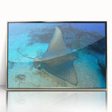 Framed acrylic wall art featuring an elegant marine life ray design, highlighted with silver accents, perfect for coastal-themed decor and ocean enthusiasts.