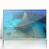 Framed wall art showcasing a vibrant marine life ray design in shades of blue and green, elegantly presented in a white frame, perfect for ocean-themed decor.