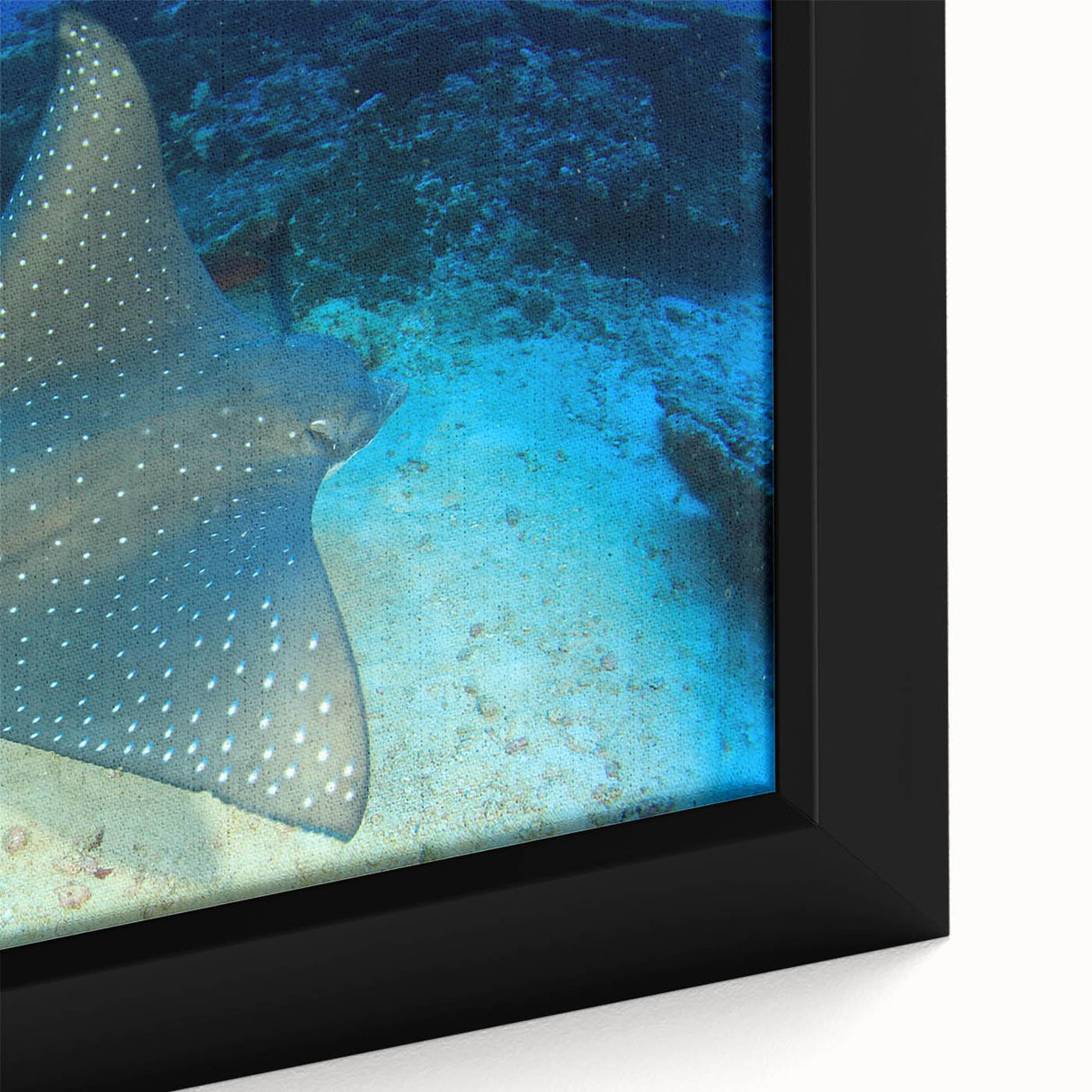 Close-up of a framed canvas wall art piece showcasing a vibrant marine life design featuring rays, with intricate details and a textured finish, perfect for ocean-themed decor.