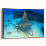 Framed wall art of a marine life ray design showcases vibrant ocean colors and intricate details, adding a touch of elegance to any room's decor.