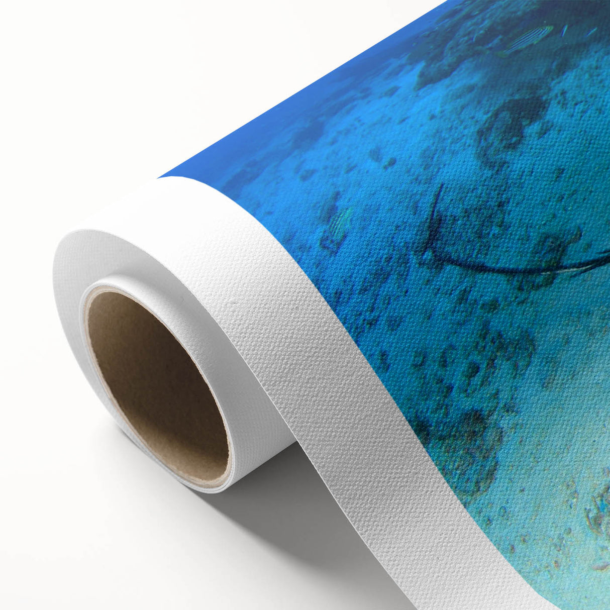 Colorful rolled canvas wall art depicting a vibrant marine life ray design, ideal for ocean-themed decor. Packaged securely in a protective cardboard tube.