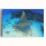 Stretched canvas wall art depicting a vibrant marine life scene with a graceful manta ray, showcasing rich blues and intricate patterns, perfect for ocean-themed decor.