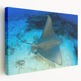 Stretched canvas wall art showcasing a vibrant marine life ray design in shades of blue and green, perfect for ocean-themed decor or beach house interiors.