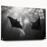 Acrylic wall art collection showcasing vibrant marine life ray design, featuring a side view with decorative pins. Perfect for ocean-themed decor enthusiasts.