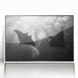 Framed wall art featuring a colorful marine life design with a manta ray, set in an elegant white frame, perfect for ocean-themed decor and enhancing interior aesthetics.