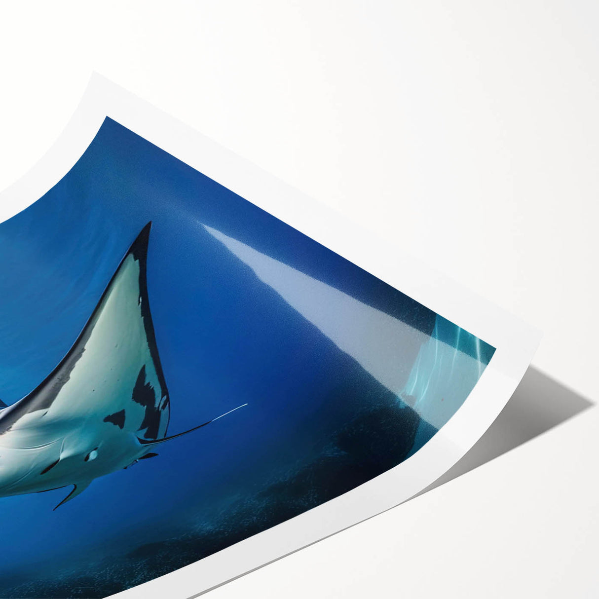 Vibrant rolled wall art print showcasing a colorful marine life ray design, featuring intricate details and textures, perfect for coastal-themed decor.