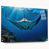 Vibrant marine life acrylic wall art featuring a colorful ray design, displayed from the side with pins, perfect for ocean-themed decor in modern interiors.