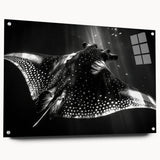 Acrylic wall art collection showcasing a vibrant ray design, with a side view highlighting the glass finish and pin mounting, perfect for marine life enthusiasts.