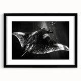 Framed wall art featuring a stunning marine life ray design in black and white, set against a sleek black frame with a mat, perfect for coastal decor enthusiasts.