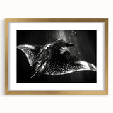 Framed marine life wall art showcasing a vibrant ray design with gold accents, elegantly matted for a sophisticated home décor touch, perfect for ocean enthusiasts.
