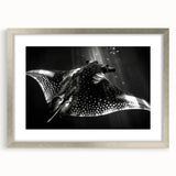 Framed wall art featuring a vibrant marine life ray design, accented with a silver mat, perfect for coastal home decor or ocean-themed rooms.