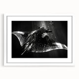 Framed wall art showcasing a vibrant marine life ray design, featuring intricate details and a white mat, perfect for ocean-themed decor in modern interiors.
