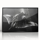 Framed acrylic wall art showcasing a vibrant marine life ray design with intricate details, set against a sleek black frame, perfect for ocean-themed decor.