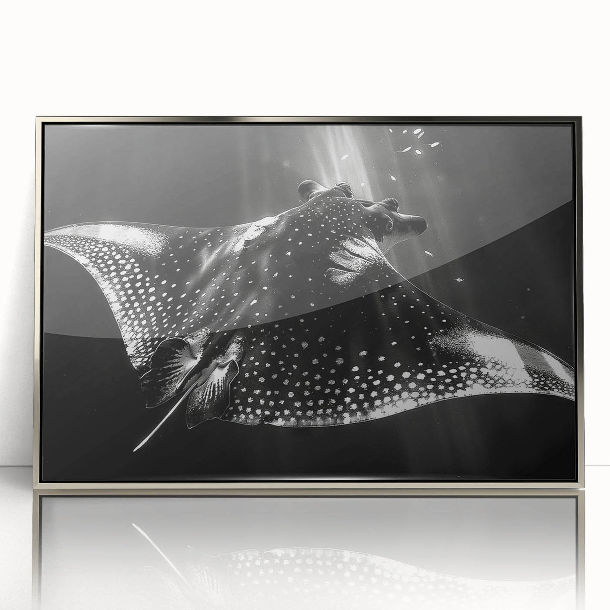 Framed wall art featuring a vibrant marine life ray design, with silver acrylic frame and clear front view, perfect for ocean-themed home decor.