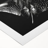 Colorful rolled canvas showcasing a marine life design, featuring a majestic ray swimming among vibrant corals, perfect for ocean-themed decor.