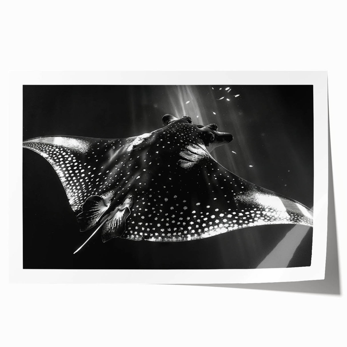 Colorful marine life wall art print showcasing a vibrant ray design, featuring intricate details and textures, ideal for ocean-themed decor and art enthusiasts.