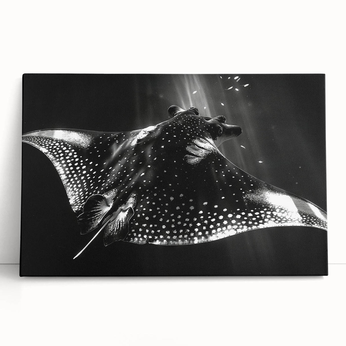 Colorful stretched canvas wall art depicting a vibrant marine life ray design, showcasing intricate details and textures, perfect for enhancing coastal-themed decor.