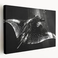 Stretched canvas wall art showcasing a vibrant marine life ray design, featuring intricate textures and colors, perfect for ocean-themed decor.