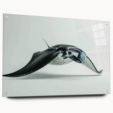 Acrylic glass wall art showcasing a vibrant marine life ray design, featuring intricate details and mounted with pins for an elegant display. Perfect for ocean-themed decor.