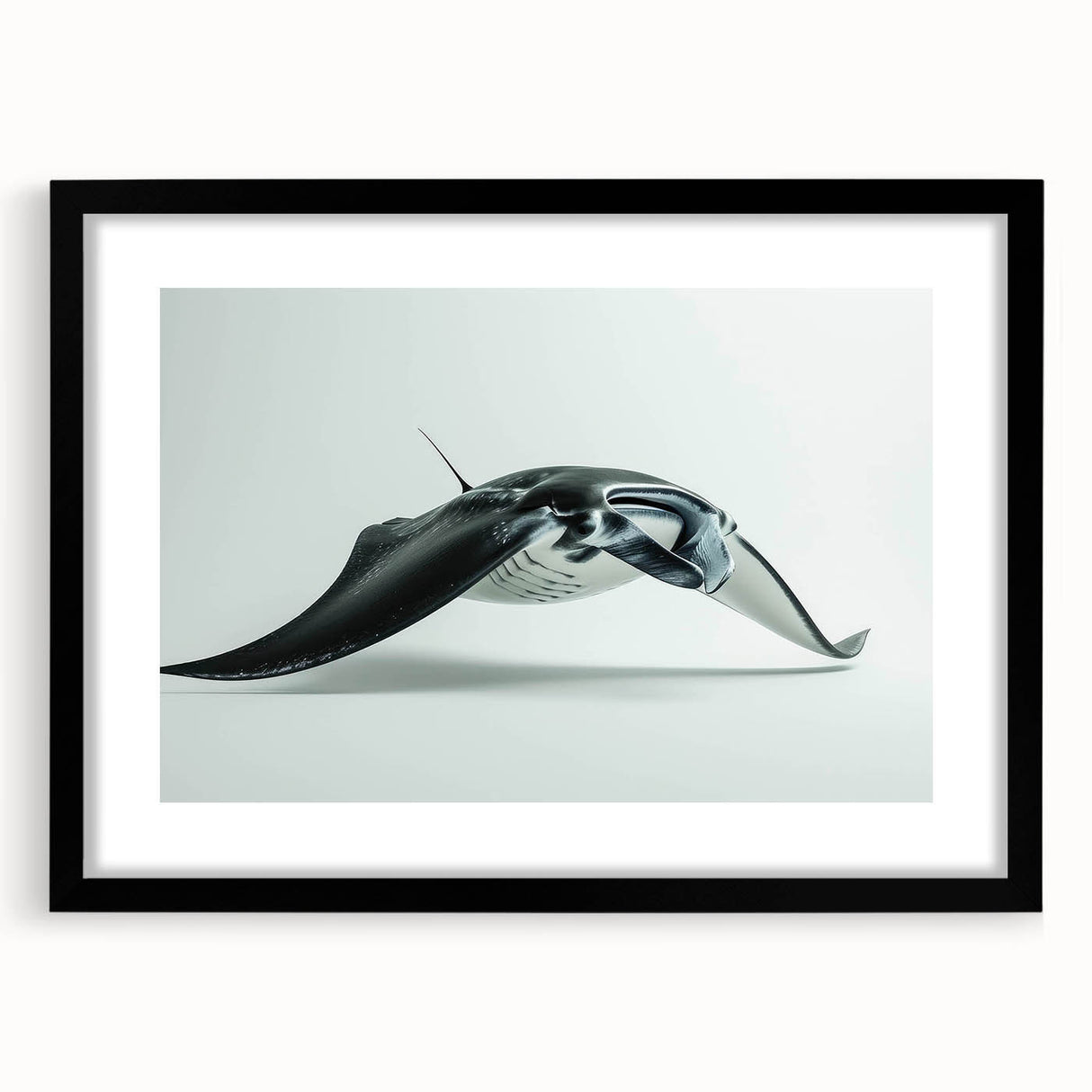 Black-framed wall art featuring a vibrant marine life ray design, elegantly presented with a mat, perfect for ocean-themed decor and adding a touch of nature to any room.