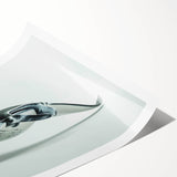 Stunning rolled print of a marine life ray design featuring vibrant colors and intricate details, ideal for ocean-themed decor. Packaged securely for delivery.