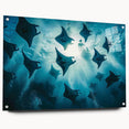 Vibrant marine life acrylic wall art collection showcasing a colorful ray design, elegantly displayed with pins on a glass surface, ideal for ocean-themed decor.