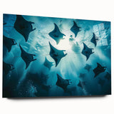 Close-up of a marine life wall art collection featuring a vibrant ray design displayed on acrylic glass, showcasing vivid colors and intricate details, ideal for ocean-themed decor.