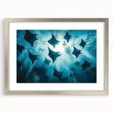 Framed wall art collection depicting a vibrant marine life ray design, featuring a sleek silver frame and mat. Perfect for ocean-themed decor enthusiasts.