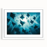 Framed marine life wall art collection featuring a vibrant ray design, displayed in a sleek white frame with a mat, ideal for ocean-themed decor.