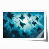 Vibrant rolled print of marine life featuring a colorful stingray illustration, perfect for ocean-themed decor, showcasing intricate details and vivid colors.