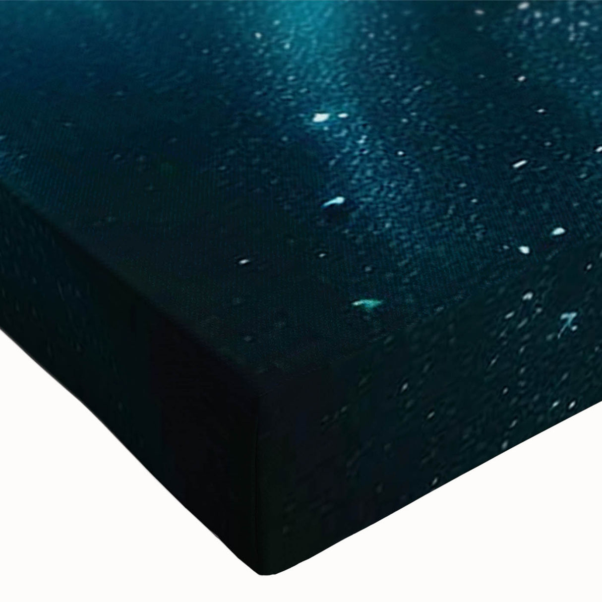 Close-up of a vibrant marine life-themed stretched canvas wall art collection featuring a colorful ray design, perfect for ocean-inspired decor. The intricate details and vivid colors enhance any space with a touch of underwater elegance.