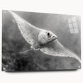 Vibrant acrylic wall art collection showcasing marine life rays in a sleek design, displayed with pins on a glass surface, perfect for ocean-themed decor.