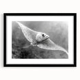 Framed marine life wall art collection featuring a stylish ray design, displayed in a sleek black frame with a mat, perfect for ocean-themed decor.