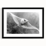 Framed marine life wall art collection featuring a stylish ray design, displayed in a sleek black frame with a mat, perfect for ocean-themed decor.