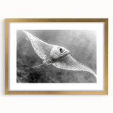 Elegant wall art collection featuring a marine life ray design, framed with a gold mat, showcasing vibrant colors and intricate details, perfect for ocean-themed decor.