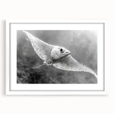 Framed marine life wall art collection showcasing a vibrant ray design, featuring a white mat and sleek frame, perfect for ocean-themed decor.