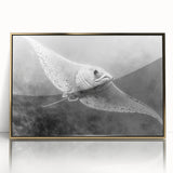 Framed acrylic wall art showcasing a vibrant marine life ray design, featuring gold accents and a sleek front view, perfect for ocean-themed decor.