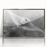 Framed wall art collection showcasing a stunning marine life ray design with vibrant colors, presented in a sleek silver frame, perfect for ocean-themed decor.