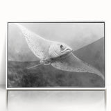 Framed wall art collection showcasing a vibrant marine life ray design in a white frame, perfect for enhancing coastal-themed decor and adding color to any space.