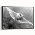 Framed canvas wall art showcasing a vibrant marine life ray design with intricate details, set against a sleek black frame, perfect for home decor and ocean-themed interiors.