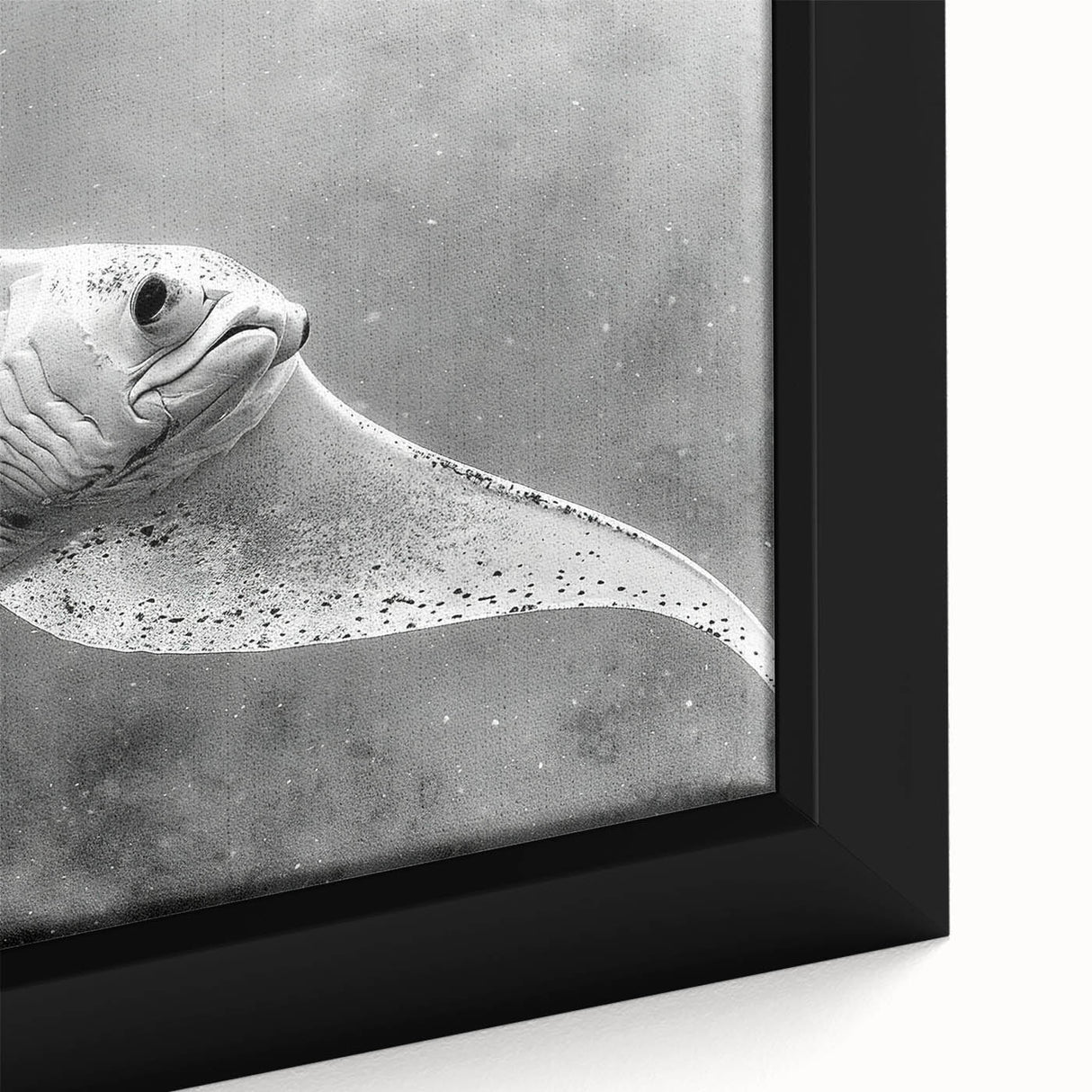 Framed canvas wall art showcasing a vibrant close-up of a marine life ray design, featuring intricate details and rich colors, perfect for ocean-themed decor.