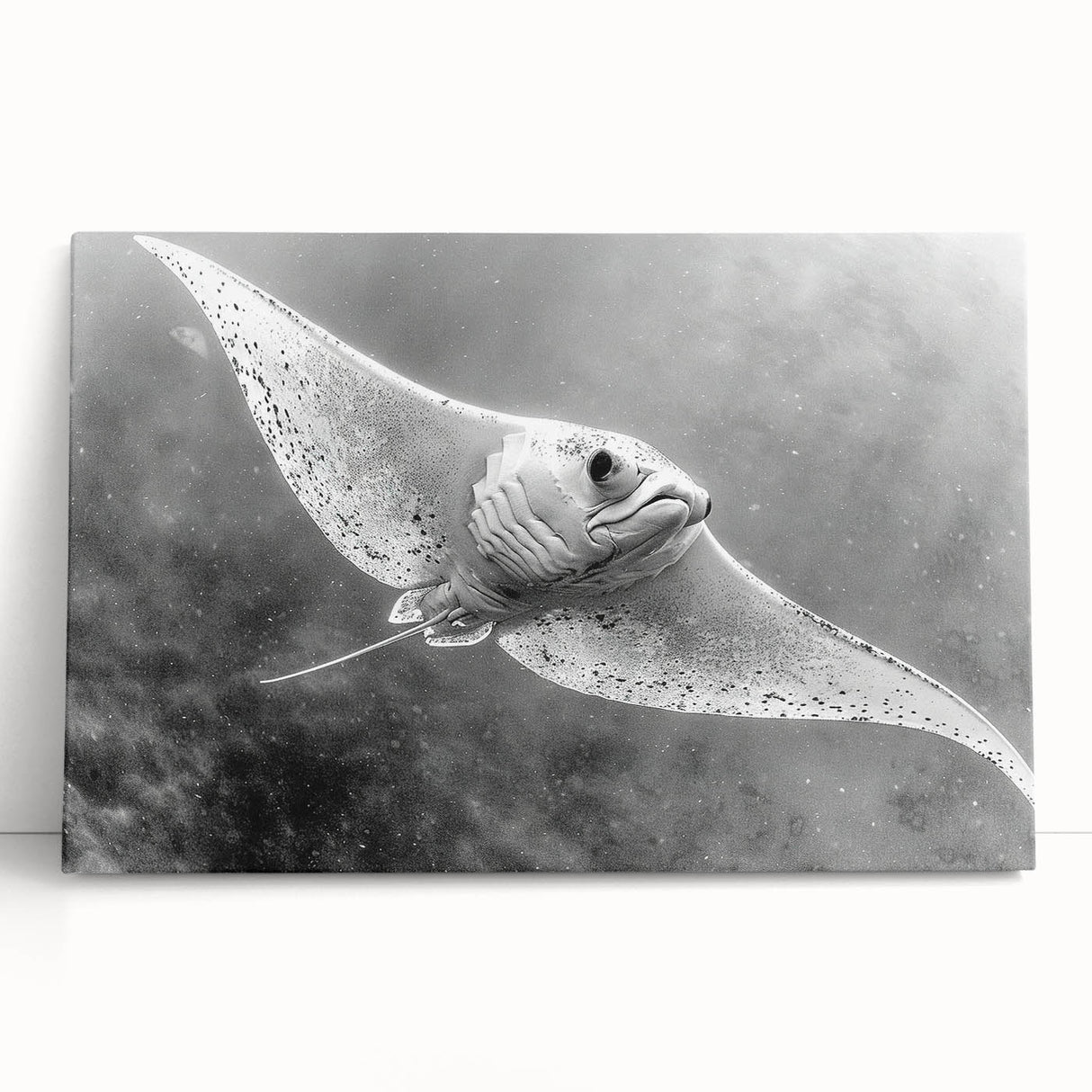 Stretched canvas wall art showcasing a vibrant marine life design featuring rays and ocean elements, ideal for coastal decor. Perfect for brightening living spaces.