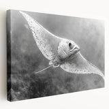 Stretched canvas wall art showcasing a vibrant marine life ray design, featuring intricate details and rich colors, perfect for ocean-themed decor.