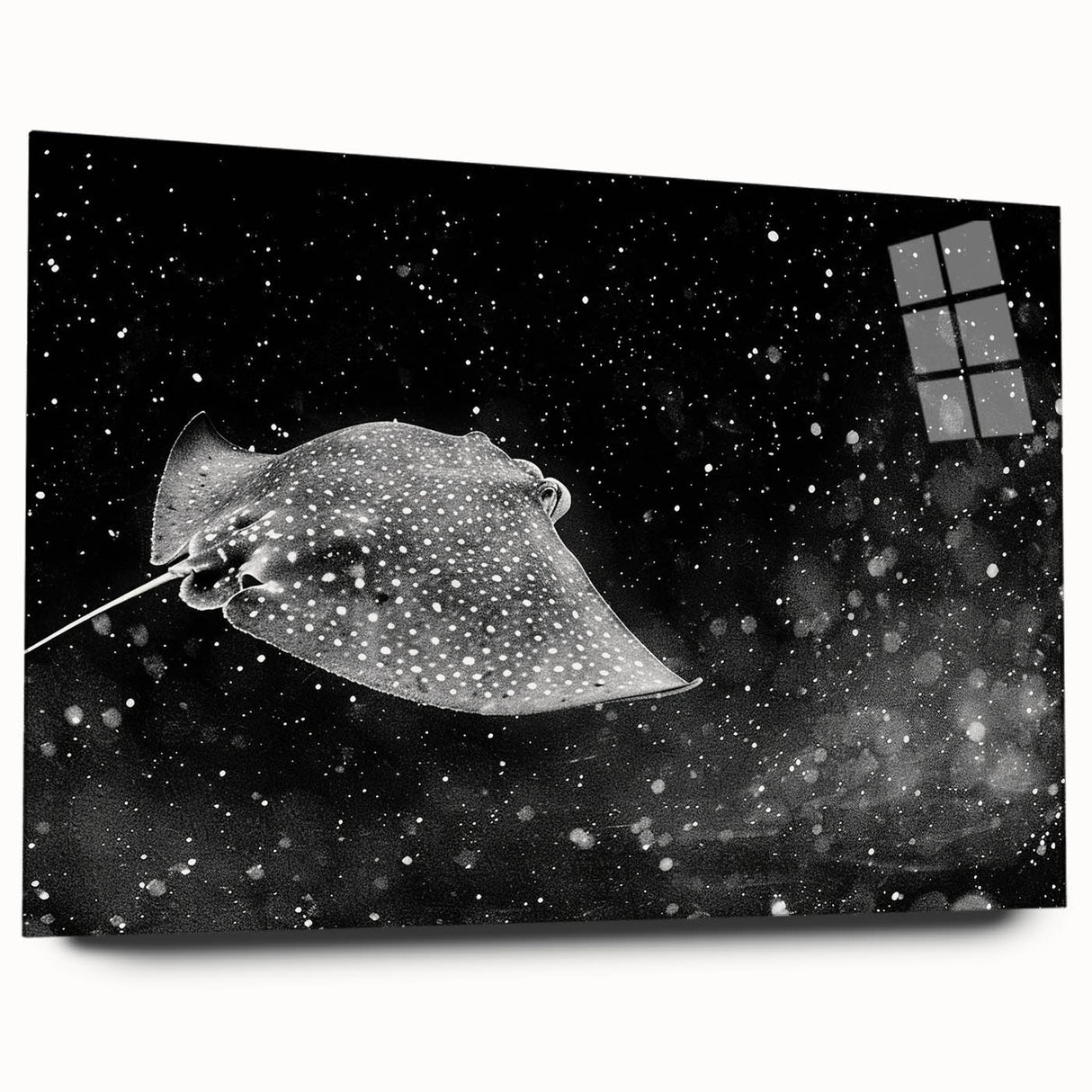 Vibrant acrylic wall art showcasing a marine life ray design, displayed side view without pins, featuring detailed colors and textures perfect for ocean-themed decor.