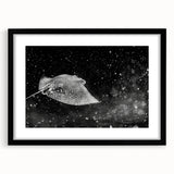 Framed marine life wall art collection featuring a vibrant ray design, set against a sleek black mat. Ideal for ocean-themed decor enthusiasts.